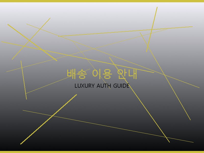 시계 레플리카 사이트 배송 이용 안내